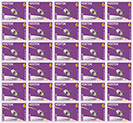 image of Vostok 6 stamp prints - purple
